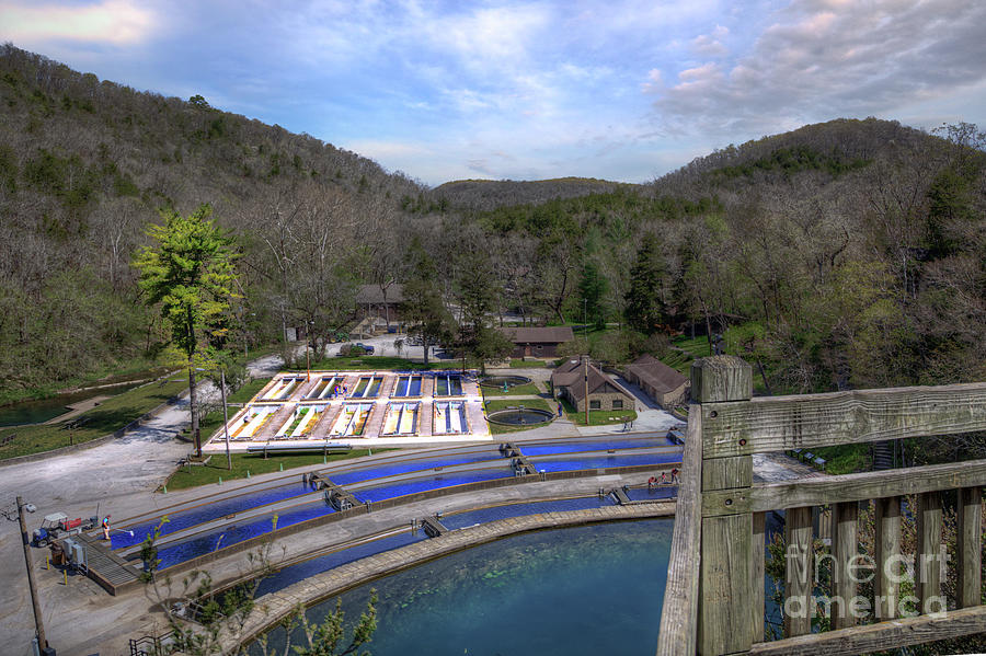 Roaring River Hatchery Photograph by Larry Braun - Fine Art America