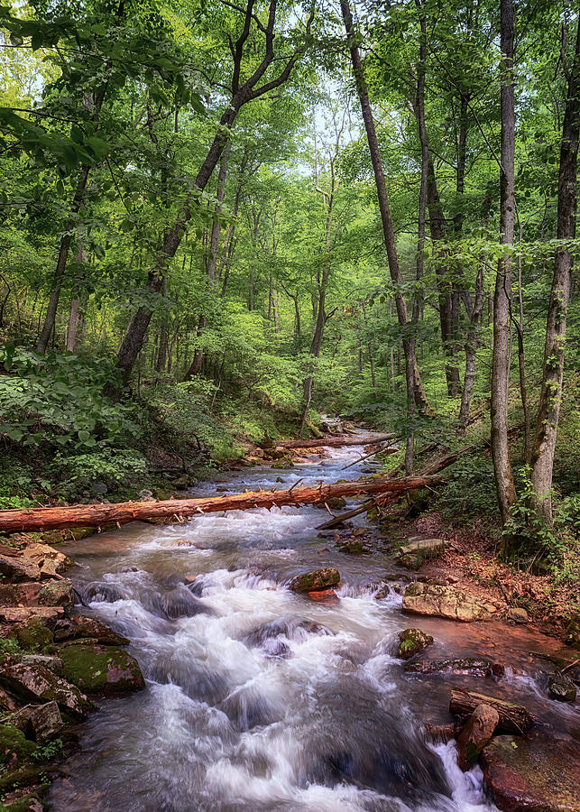 Roaring Run Creek - Eagle Rock Virginia Photograph by Susan Rissi Tregoning