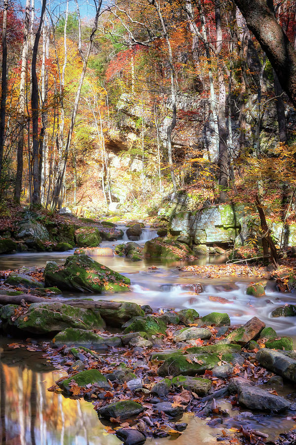 Roaring Run in Autumn Photograph by Susan Rissi Tregoning