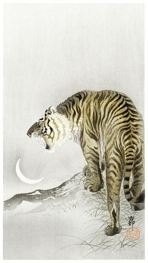 Ohara Koson Drawing - Roaring tiger by Noha Art america