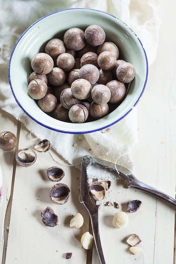 Roasted and salted macadamia nuts in shells, studio Photograph by Westend61