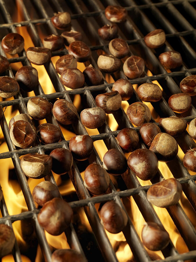 Roasting Chestnuts Photograph by LauriPatterson