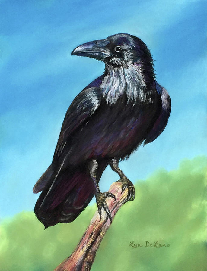 Robby the Raven Pastel by Lyn DeLano