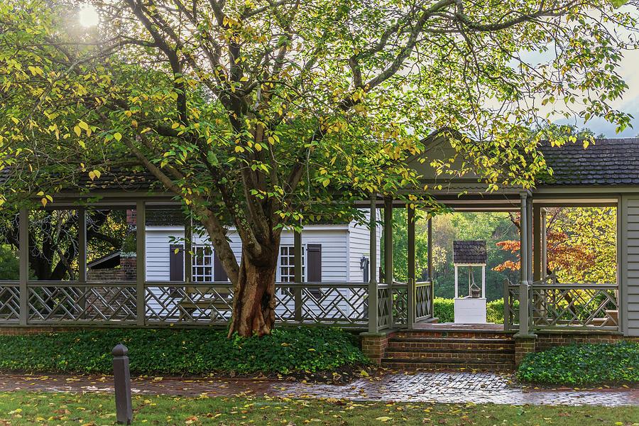 Robert Carter House Garden in Fall Photograph by Rachel Morrison