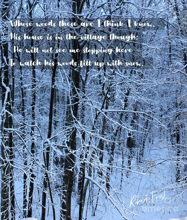 Robert Frost Stopping By Woods on a Snowy Evening Photograph by Diane ...