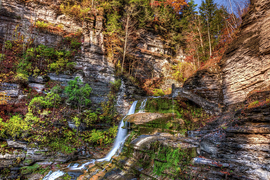 Robert H Treman State Park Autumn Waterfall Photograph by Chad Dikun