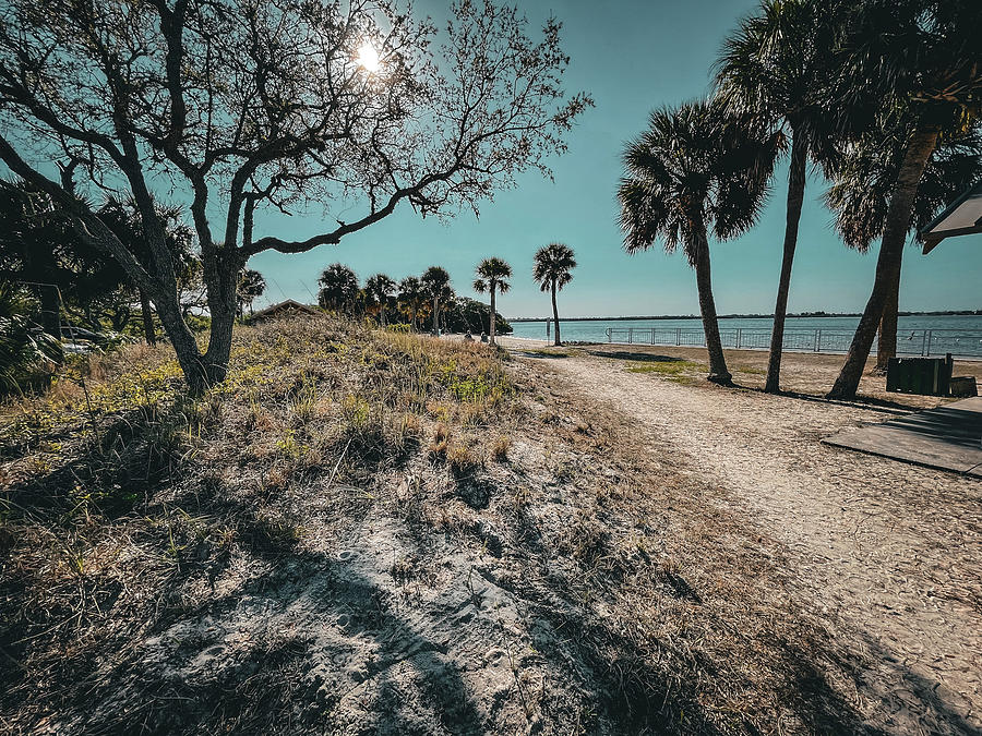 Robert K Rees Memorial Park Photograph By Josh Williams Fine Art America 1401