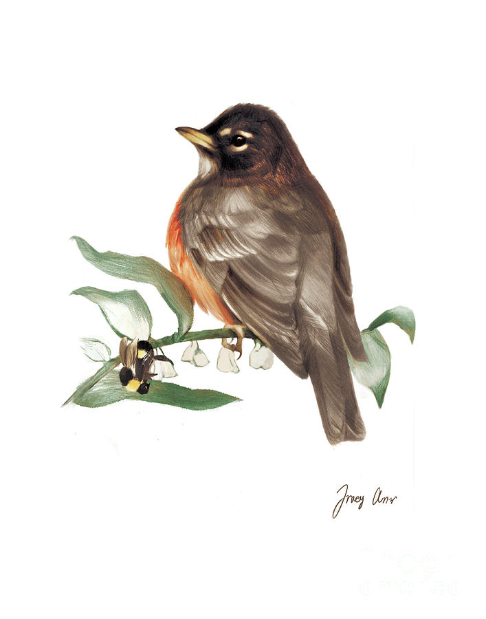 Robin and Bumblebee Painting by Tracy Herrmann