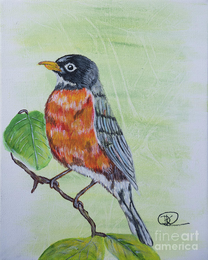 Robin  Painting by Deborah Klubertanz