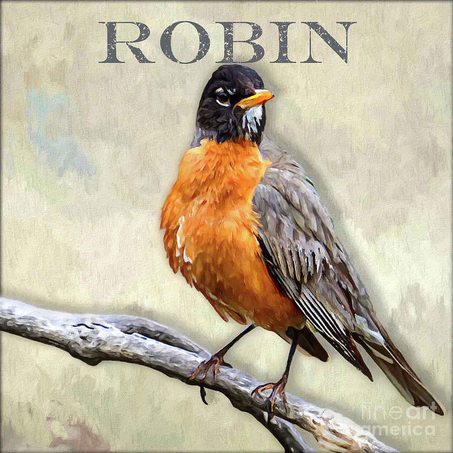 Robin Digital Art by Denise Dundon