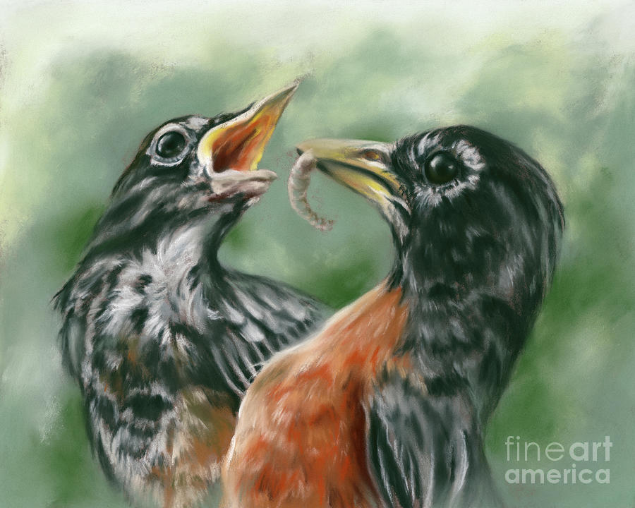 Robin Feeding His Chick Painting by MM Anderson