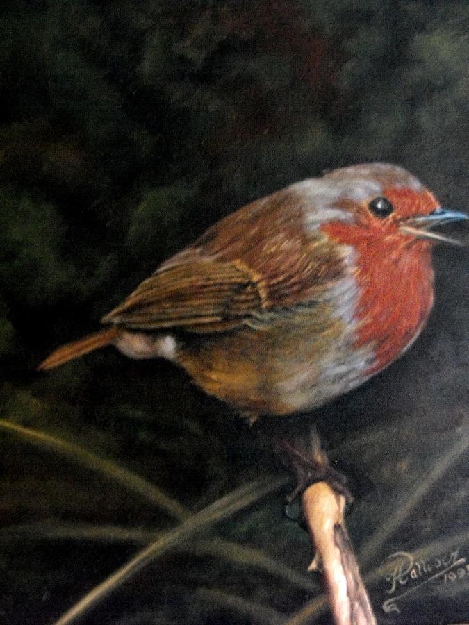 Robin Painting by HH Palliser