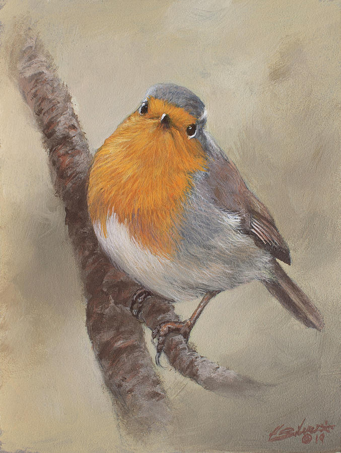 Robin I Painting by John Silver