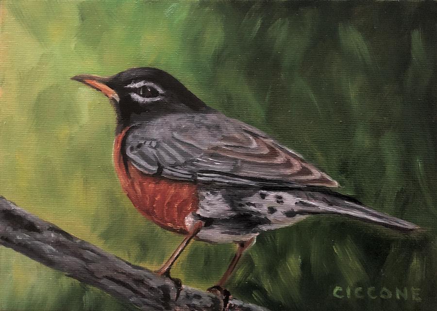 Robin Painting by Jill Ciccone Pike