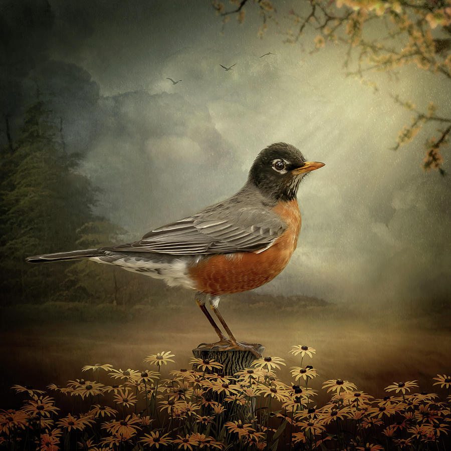 Robin Digital Art by Maggy Pease