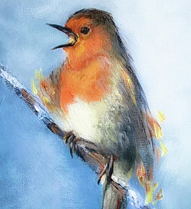 Robin Painting by Maria Fitzgerald - Fine Art America