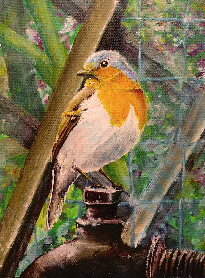 Robin Painting by Medea Ioseliani