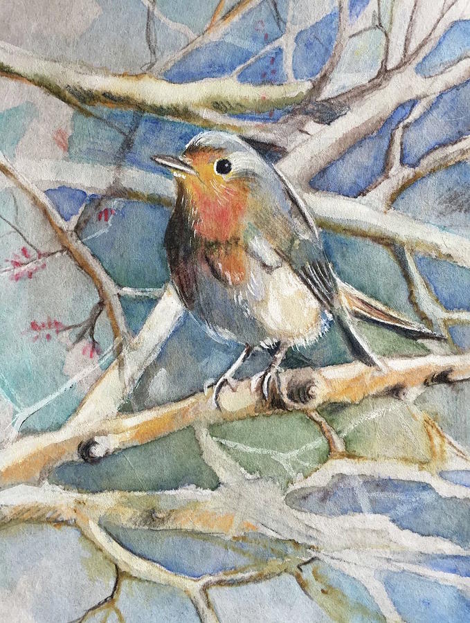 Robin on a branch Drawing by Carolina Prieto Moreno