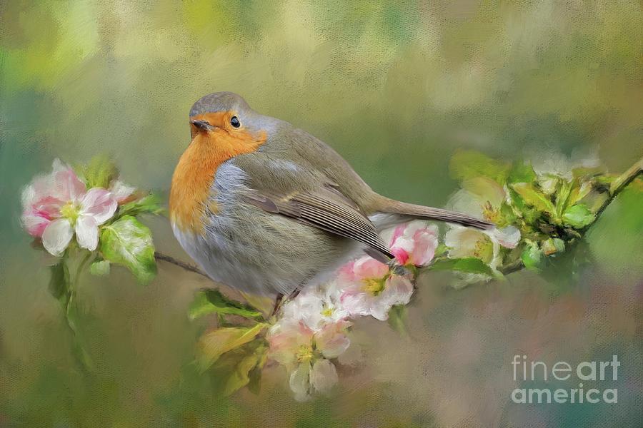 Robin Redbreast in Spring Photograph by Eva Lechner