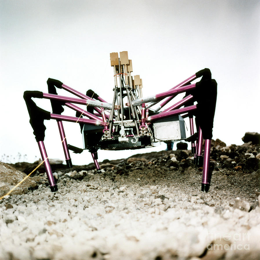 Robot - Dante, 1993 Photograph by Granger
