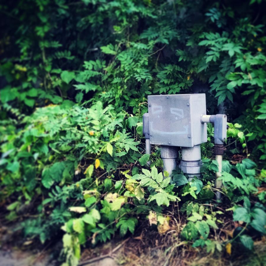 Nature Photograph - Robot Spotted in the WIld by Matt Towler