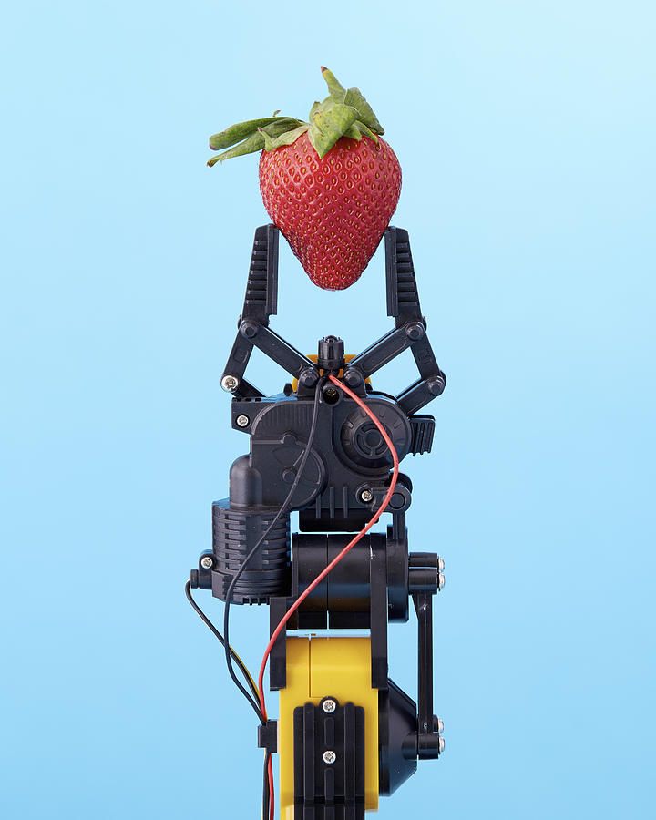 Robotic claw holding strawberry Photograph by Sean Gumm