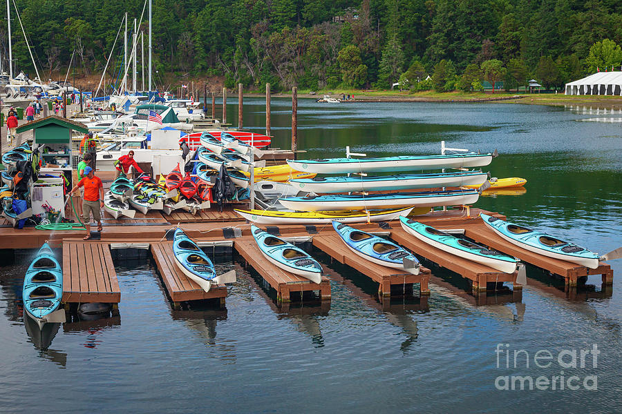 Roche Harbor Kayaks Photograph by Inge Johnsson