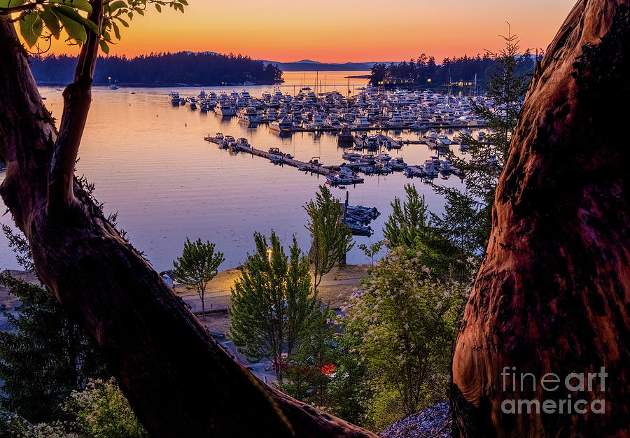 Roche Harbor Sunset Photograph by Inge Johnsson