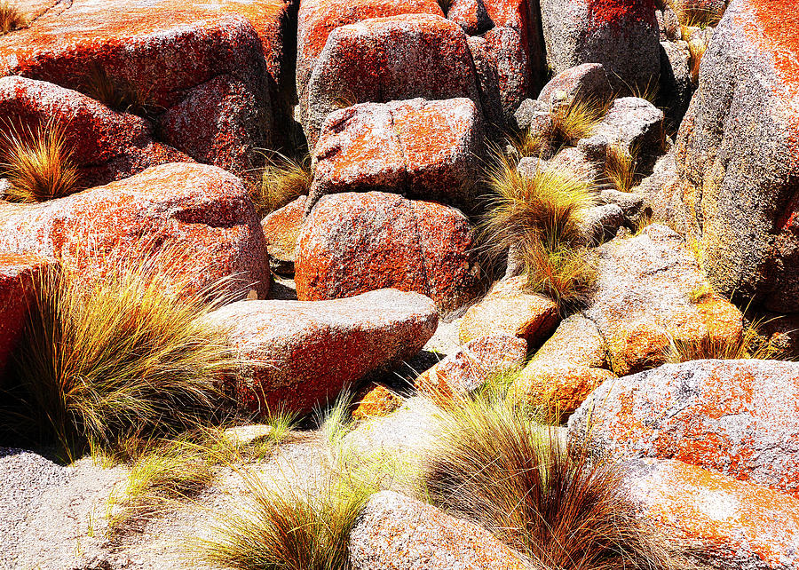 Rock Abstracts - Bay of Fires 3 Photograph by Lexa Harpell