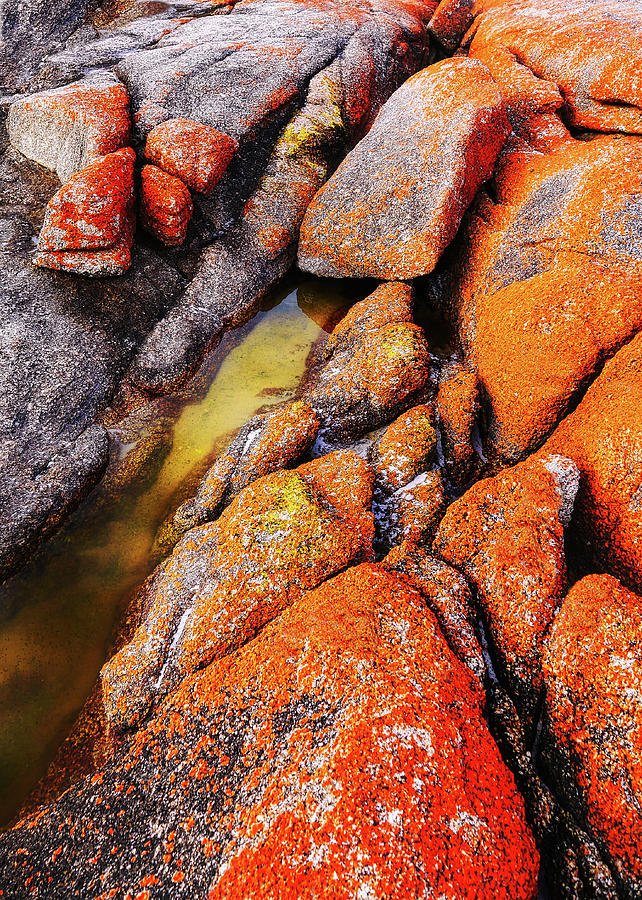 Rock Abstracts - Bay of Fires Photograph by Lexa Harpell