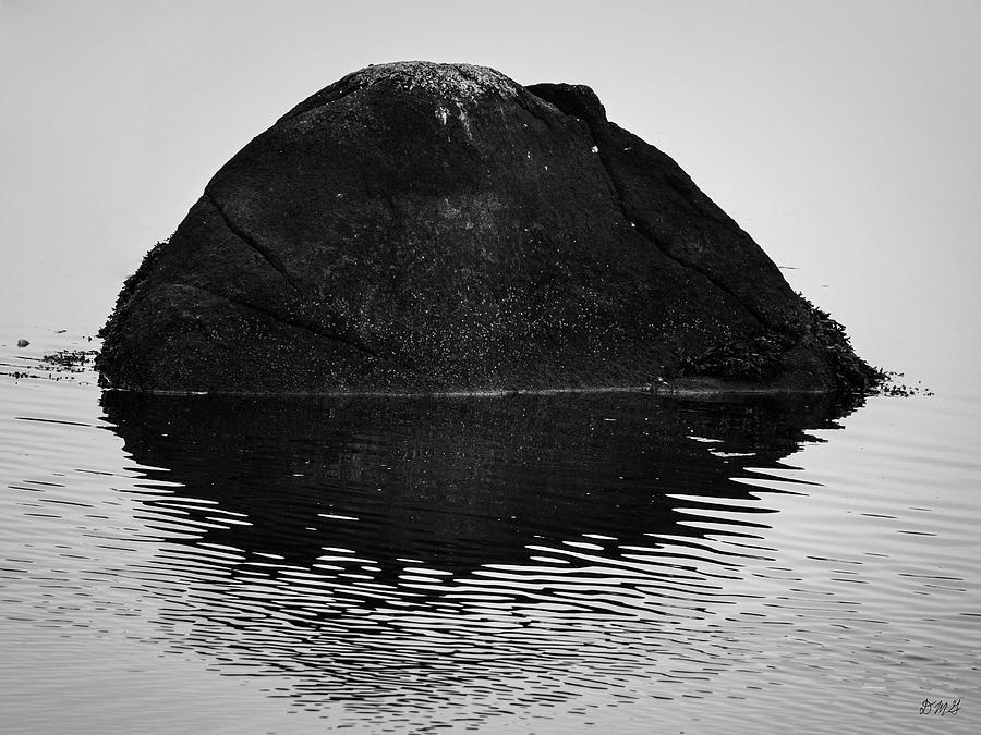 Abstract Photograph - Rock and Reflection BW by David Gordon