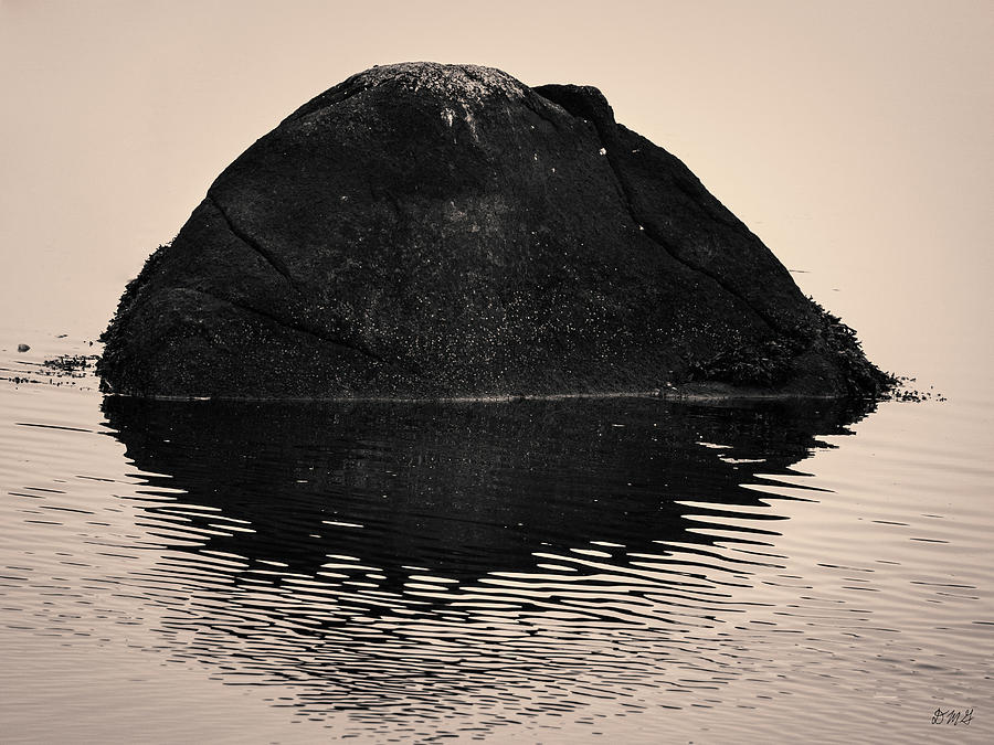 Abstract Photograph - Rock and Reflection Toned by David Gordon