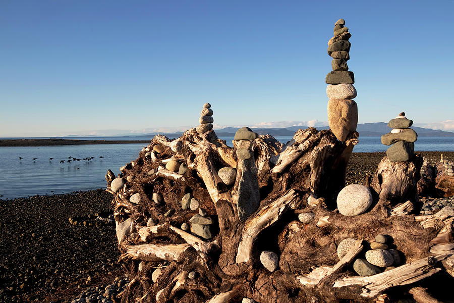 Rock Cairns and Driftwood Tree Roots Photograph by Peggy Collins