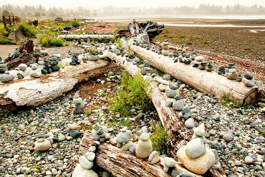 Rock Cairns on Driftwood Photograph by Peggy Collins
