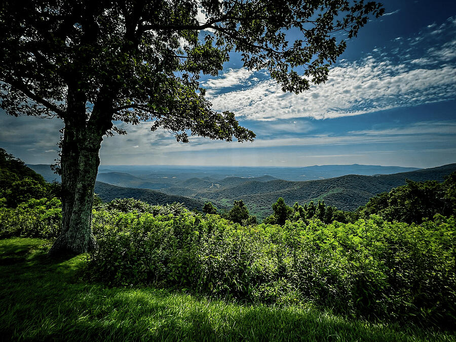 Rock Castle Gorge Overlook - HDR Photograph by Deb Beausoleil