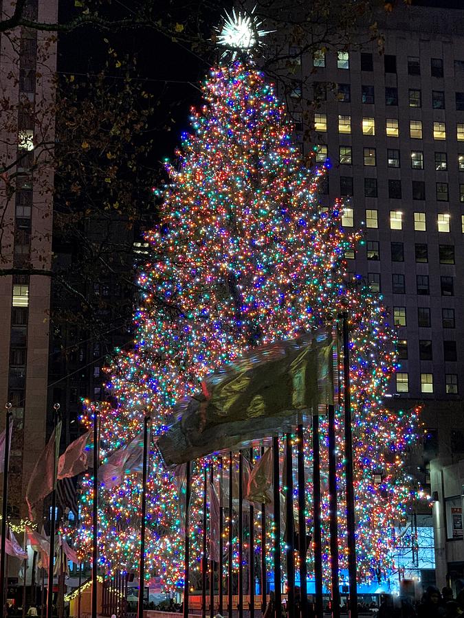 Rock Center Christmas Tree 2021 Photograph by Margaret Emory Design ...
