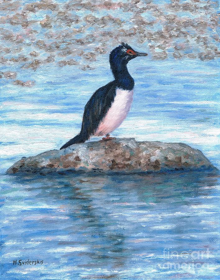 Rock Cormorant Bird Painting
