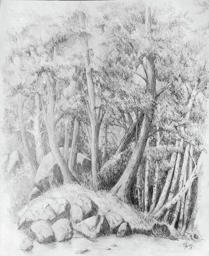 Rock Creek Drawing by Joel Keener Rock Creek Drawing by Joel Keener
