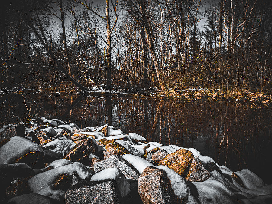 Rock Creek Photograph by Steven Richardson
