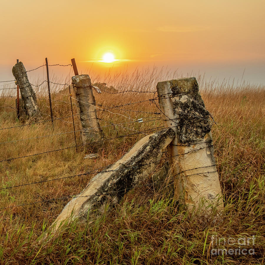 Rock fence Posts Photograph by Garry McMichael