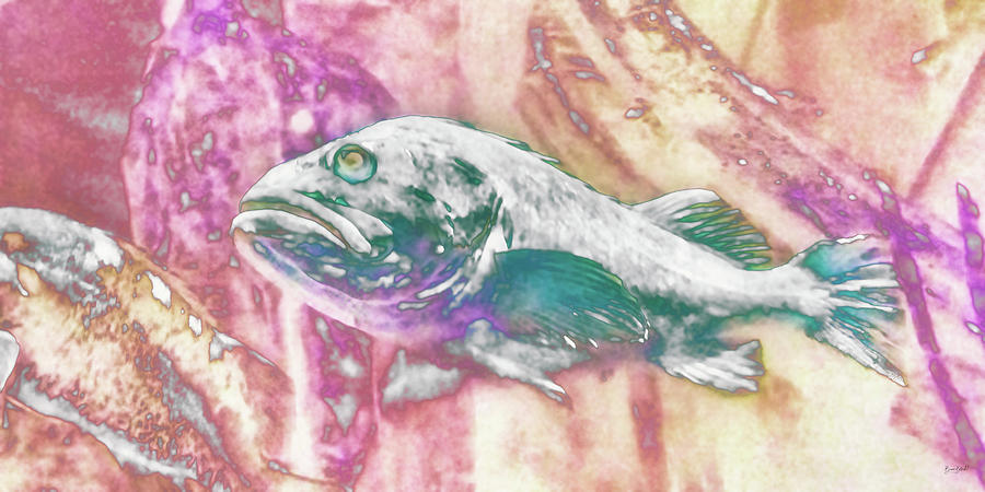 Rock fish Digital Art by Bruce Block