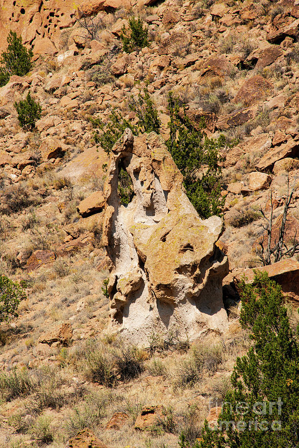 Rock Formation Bandelier National Monument Rock Formation Photograph by Bob Phillips