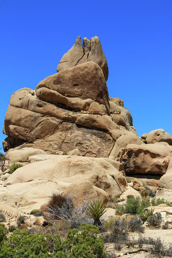 Rock Formations at Joshua Tree National Park 4 Photograph by Dawn Richards