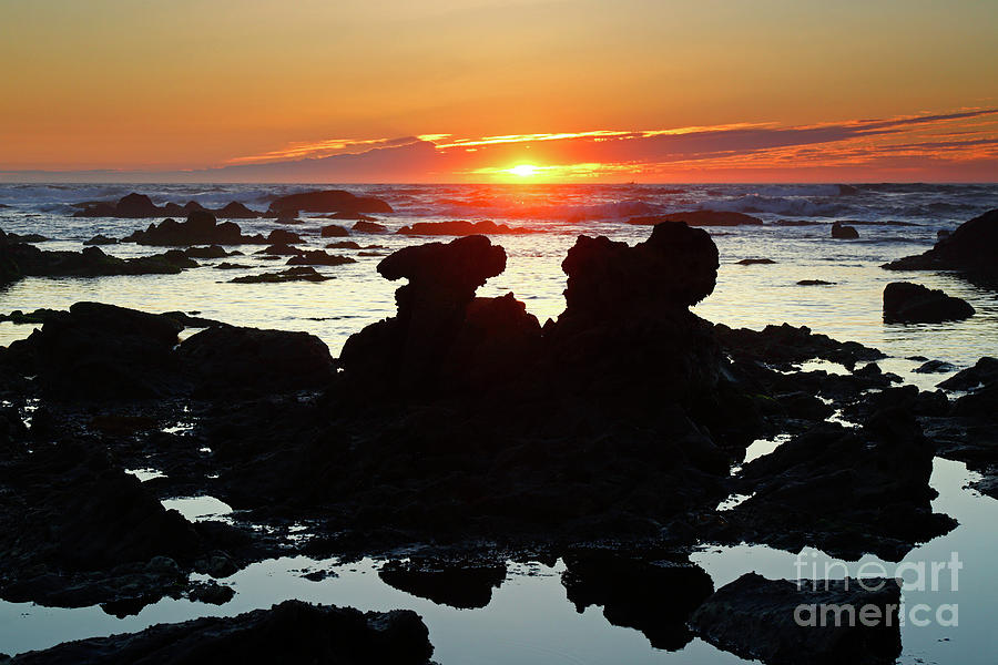 Rock Formations at Low Tide at Sunset Portugal Photograph by James Brunker