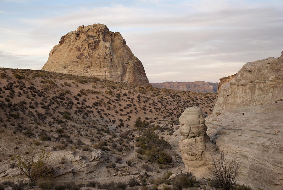Rock formations in a desert Photograph by Fotosearch