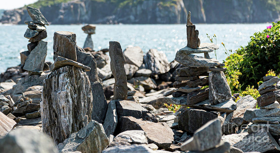 Nature Photograph - Rock garden on Peaks Island in Maine USA by David Wood