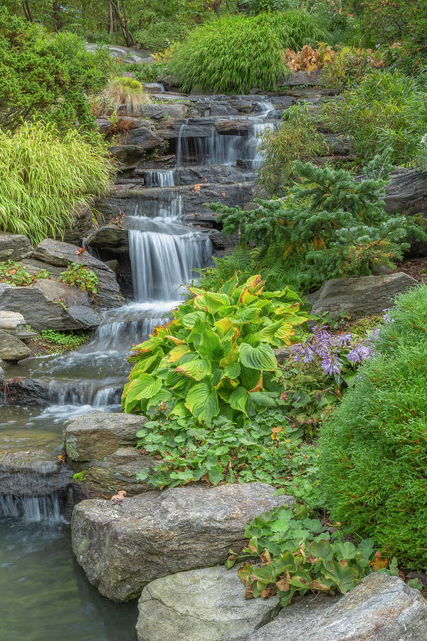 Rock Garden Waterfalls Photograph by Cate Franklyn