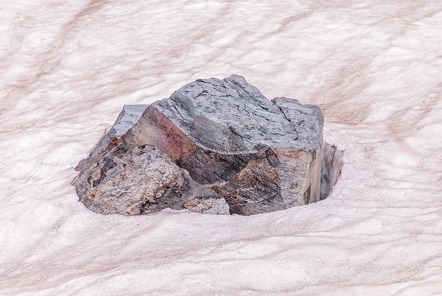 Rock In Snow Photograph