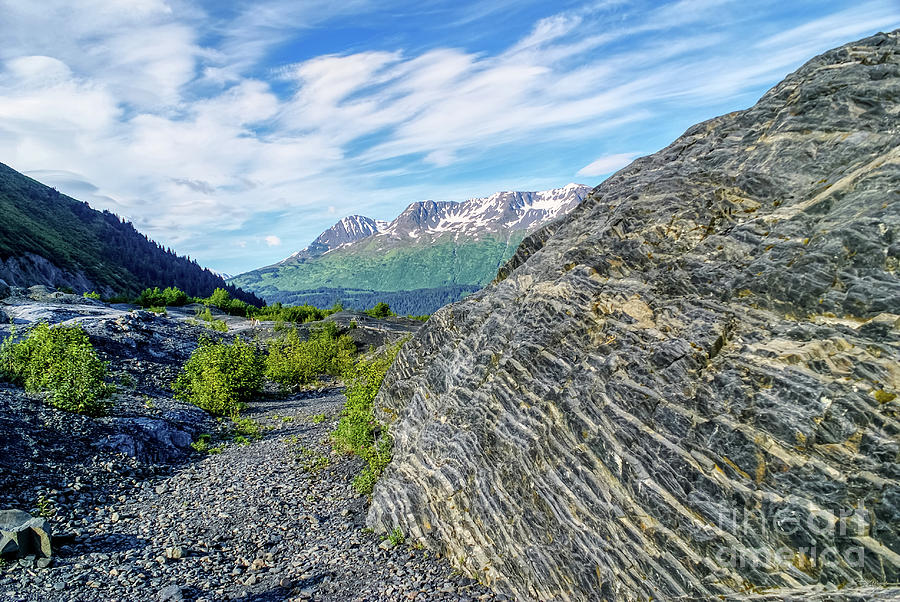 Rock Mound Along Exit Glacier Trail Photograph by Jennifer White