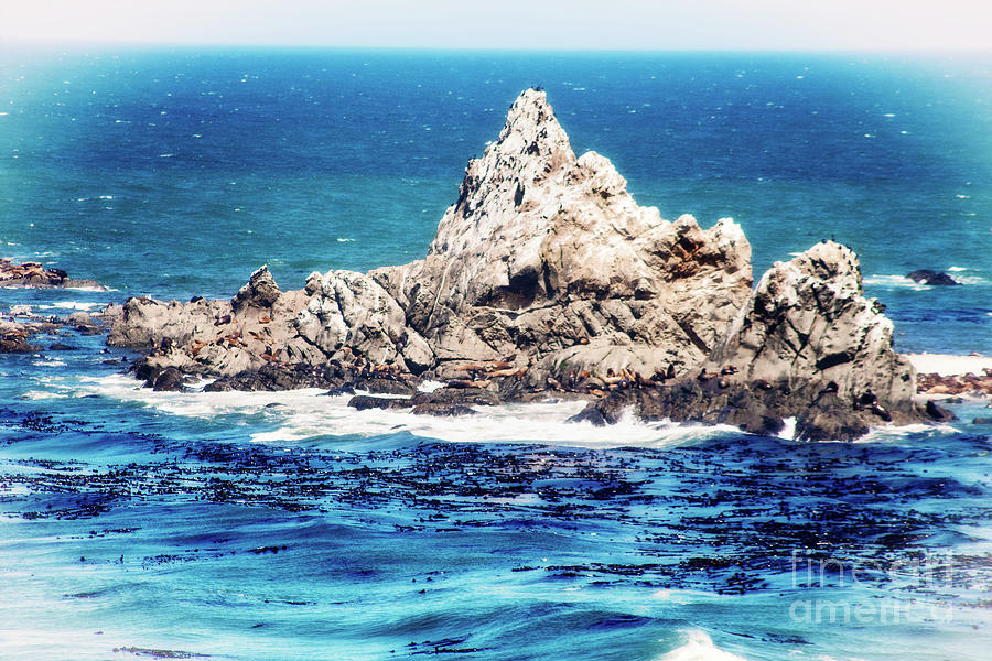 Rock of Life Photograph by Janie Johnson